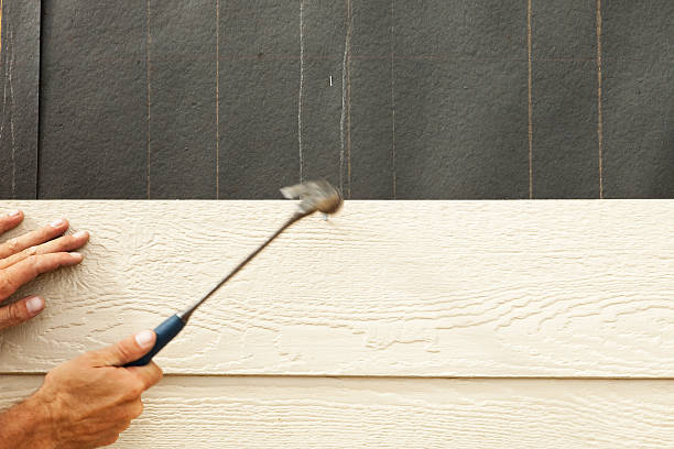 Best Siding Painting and Refinishing  in Cornelia, GA